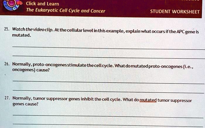 25. Watch the video clip. At the cellular level in this example, explain what occurs if the APC gene is mutated.

26. Normally, proto-oncogenes stimulate the cell cycle. What do mutated proto-oncogenes (i.e., oncogenes) cause?

27. Normally, tumor suppressor genes inhibit the cell cycle. What do mutated tumor suppressor genes cause?