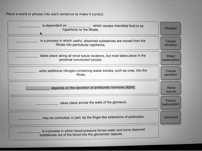SOLVED Place a word or phrase into each sentence to make it correct