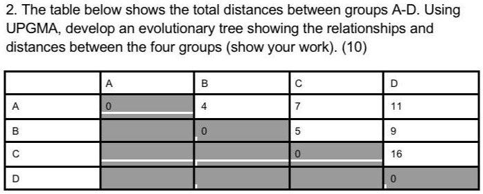 2. The table below shows the total distances between groups A-D. Using UPGMA, develop an evolutionary tree showing the relationships and distances between the four groups (show your work). (10)

| | A | B | C | D |
|—|—|—|—|—|
| A | 0 | 4 | 7 | 11 |
| B | | 0 | 5 | 9 |
| C | | | 0 | 16 |
| D | | | | 0 |