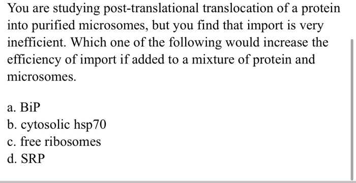 You are studying post-translational translocation of a protein into purified microsomes, but you find that import is very inefficient. Which one of the following would increase the efficiency of import if added to a mixture of protein and microsomes.

a. BiP
b. cytosolic hsp70
c. free ribosomes
d. SRP