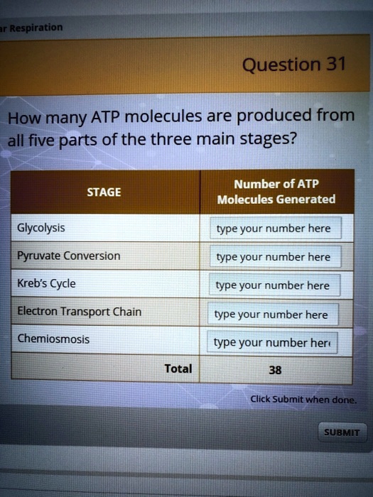 light-dependent-reaction-definition-diagrams-and-products