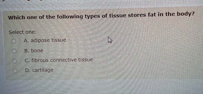 Solved:which One Of The Following Tpes Oritissue Stores Fat In The Bodv?  Select One: A. Adipose Tissue B: Bone C. Fibrous Connective Tissiie D,  Cartilage Solved:which One Of The Following Tpes Oritissue Stores Fat In The Bodv?  Select One: A. Adipose Tissue B: Bone C. Fibrous Connective Tissiie D,  Cartilage