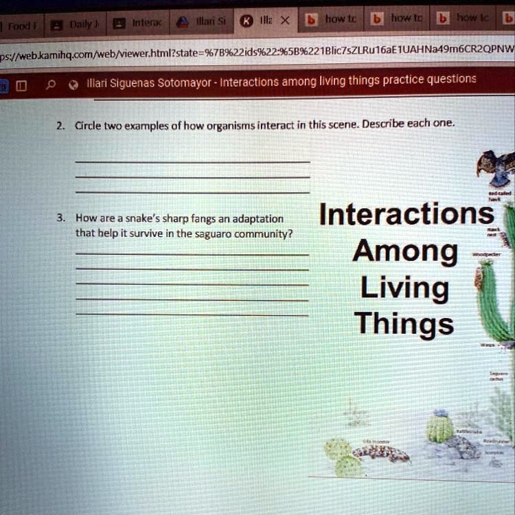 2. Circle two examples of how organisms interact in this scene. Describe each one.
3. How are a snake's sharp fangs an adaptation that help it survive in the saguaro community?
Interactions Among Living Things