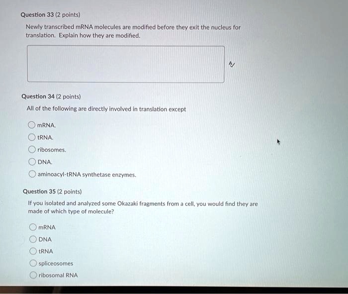 Which Of The Following Is Not Directly Involved In Translation SOLVED: Question 33 (2 points) Newly transcribed mRNA molecules are