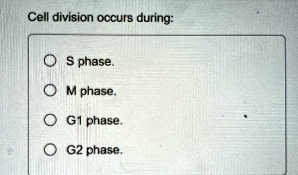 Cell division occurs during:
S phase.
M phase.
G1 phase.
G2 phase.
