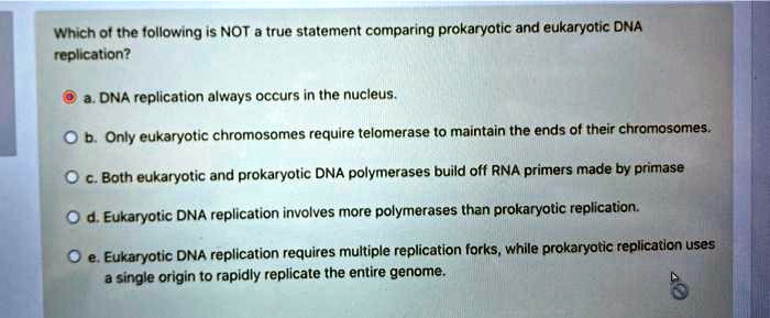 Which of the following is NOT a true statement comparing prokaryotic and eukaryotic DNA replication?

a. DNA replication always occurs in the nucleus.
b. Only eukaryotic chromosomes require telomerase to maintain the ends of their chromosomes.
c. Both eukaryotic and prokaryotic DNA polymerases build off RNA primers made by primase
d. Eukaryotic DNA replication involves more polymerases than prokaryotic replication.
e. Eukaryotic DNA replication requires multiple replication forks, while prokaryotic replication uses a single origin to rapidly replicate the entire genome.