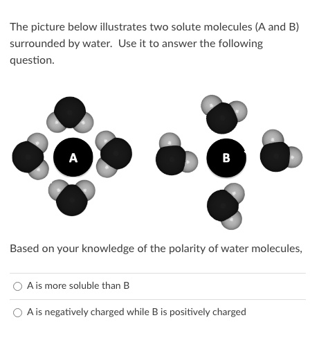 SOLVED: The picture below illustrates two solute molecules (A and B