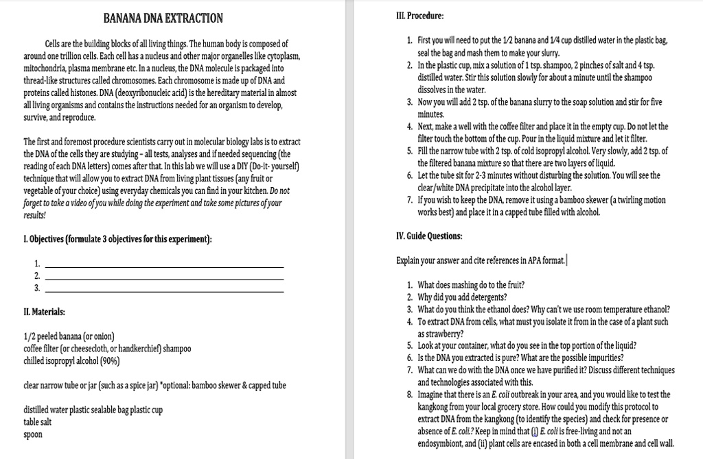SOLVED BANANA DNA EXTRACTION IIL Procedure Cells are the building