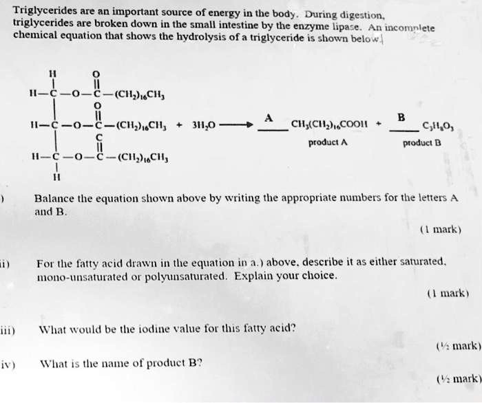 SOLVED Triglycerides are an important source of energy in the body