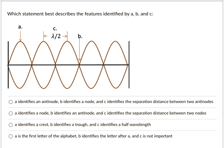 SOLVED: Which Statement Best Describes The Features Identified By A, B ...