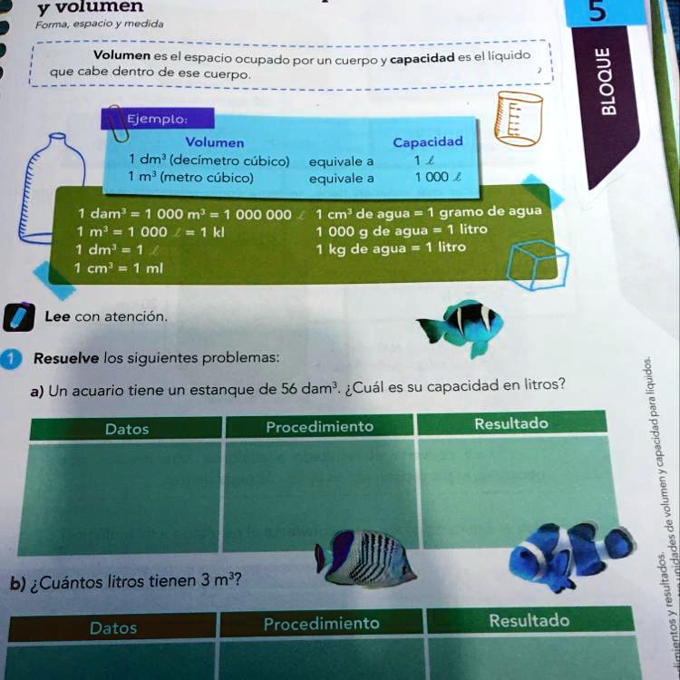 Solved Alguien Me Ayuda Porfis Y Volumen Forma Espacio Mneoic