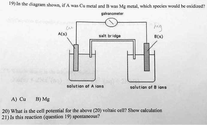 19) In the diagram shown, if A was Cu metal and B was Mg metal, which ...