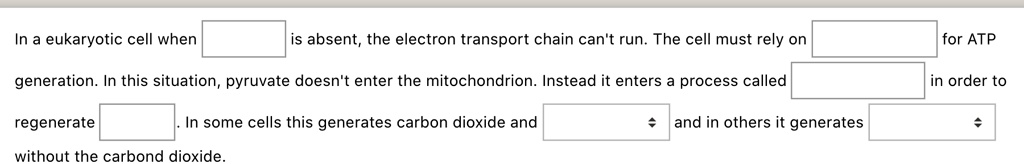 In a eukaryotic cell when is absent, the electron transport chain can't run. The cell must rely on for ATP generation. In this situation, pyruvate doesn't enter the mitochondrion. Instead it enters a process called in order to regenerate . In some cells this generates carbon dioxide and and in others it generates without the carbond dioxide.
