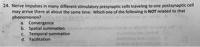 SOLVED: Phenomenon? A. Convergence B.Spatial Summation C.Temporal ...