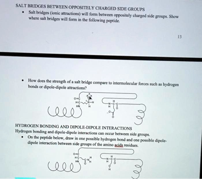 Salt Bridge R Group SOLVED: Can you please write out all 3 answers. Draw illustrarions if ...