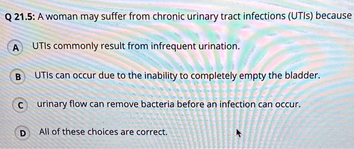 Q 21.5: A woman may suffer from chronic urinary tract infections (UTIs) because
A UTIs commonly result from infrequent urination.
B UTIs can occur due to the inability to completely empty the bladder.
C urinary flow can remove bacteria before an infection can occur.
D All of these choices are correct.