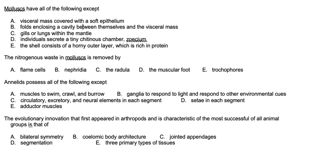 Molluscs have all of the following except

A. visceral mass covered with a soft epithelium
B. folds enclosing a cavity between themselves and the visceral mass
C. gills or lungs within the mantle
D. individuals secrete a tiny chitinous chamber, zoecium
E. the shell consists of a horny outer layer, which is rich in protein

The nitrogenous waste in molluscs is removed by

A. flame cells B. nephridia C. the radula D. the muscular foot E. trochophores

Annelids possess all of the following except

A. muscles to swim, crawl, and burrow
B. ganglia to respond to light and respond to other environmental cues
C. circulatory, excretory, and neural elements in each segment
D. setae in each segment
E. adductor muscles

The evolutionary innovation that first appeared in arthropods and is characteristic of the most successful of all animal groups is that of

A. bilateral symmetry B. coelomic body architecture C. jointed appendages
D. segmentation E. three primary types of tissues
