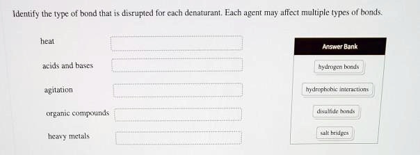 Identify the type of bond that is disrupted for each denaturant. Each agent may affect multiple types of bonds.

heat
acids and bases
agitation
organic compounds
heavy metals

Answer Bank
hydrogen bonds
hydrophobic interactions
disulfide bonds
salt bridges