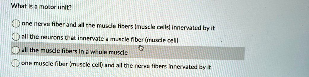 What is a motor unit? one nerve fiber and all the muscle fibers (muscle ...