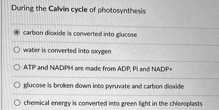 During the Calvin cycle of photosynthesis
carbon dioxide is converted into glucose
water is converted into oxygen
ATP and NADPH are made from ADP, Pi and NADP+
glucose is broken down into pyruvate and carbon dioxide
chemical energy is converted into green light in the chloroplasts