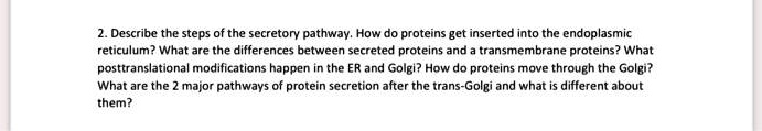 2. Describe the steps of the secretory pathway. How do proteins get ...