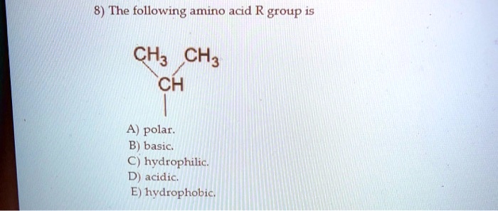 SOLVED 8 The following amino acid R group is CHa CH3 CH polar. B