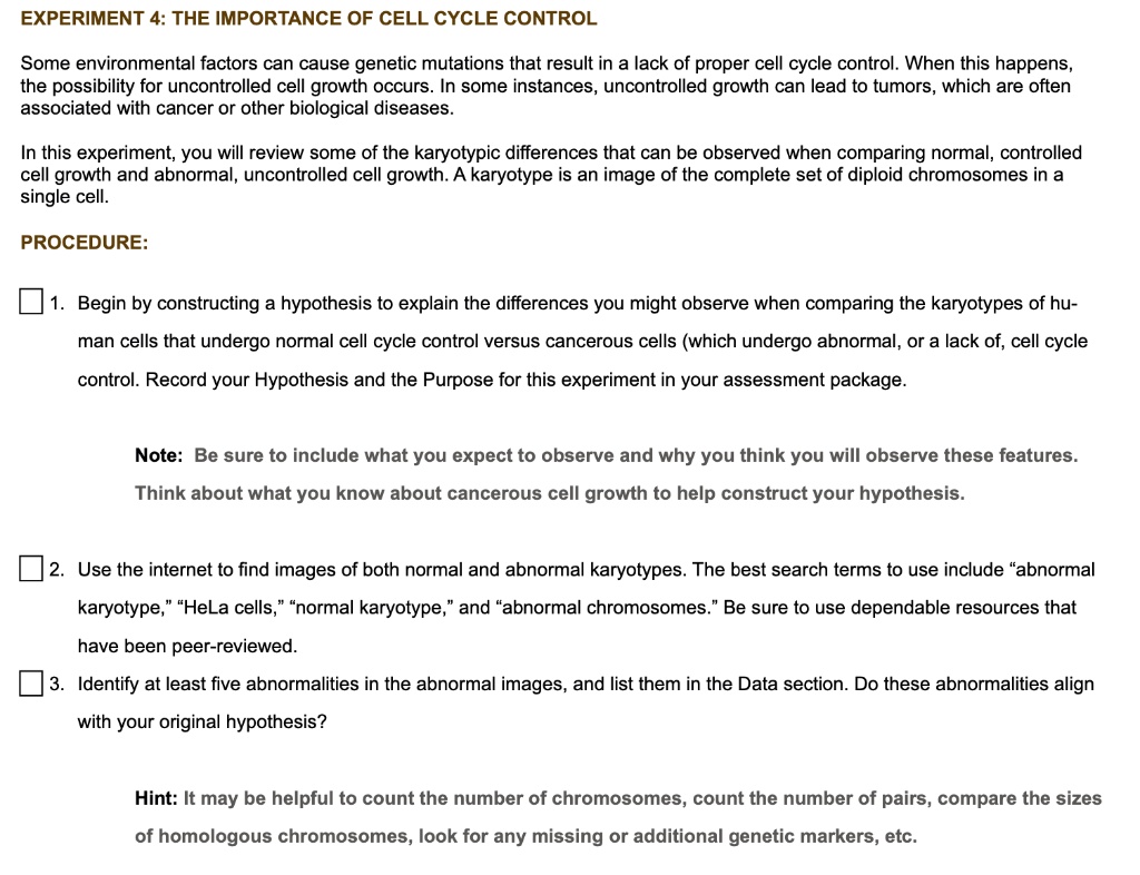 solved-experiment-4-the-importance-of-cell-cycle-control-some