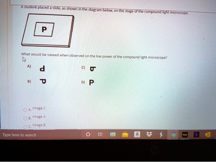 SOLVED Astudent placed slide; Js shown in the diagram stage 0f the