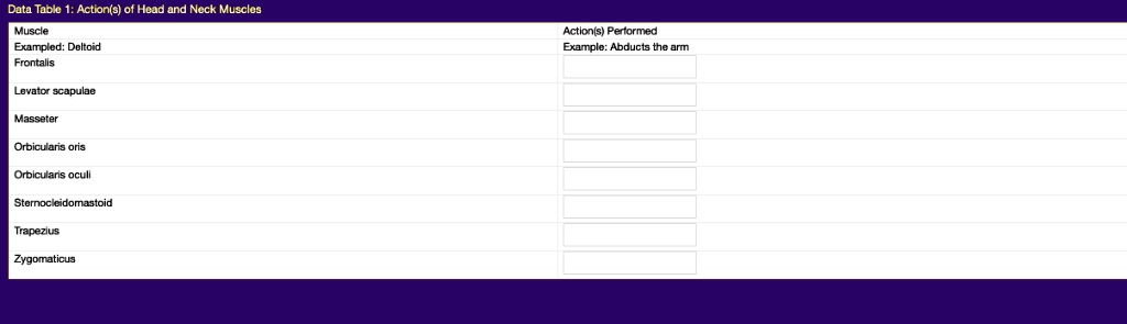 SOLVED Data Table 1 Actions of Head and Neck Muscles Muscle