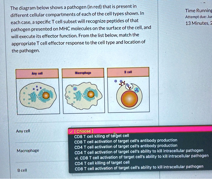 SOLVED: The Diagram Below Shows Pathogen (in Red) That Is Present In ...