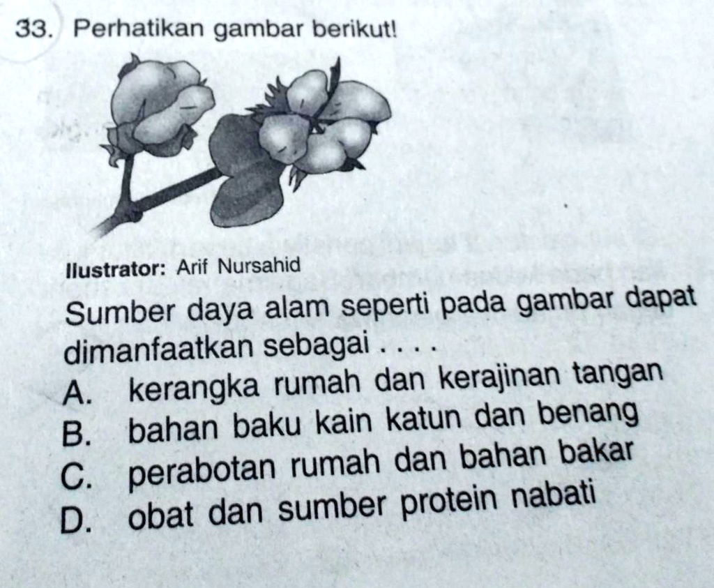 SOLVED: sumber daya alam seperti pada gambar dimanfaatkan sebagai ...