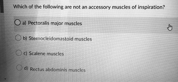 Which of the following are not an accessory muscles of inspiration?
a) Pectoralis major muscles
b) Sternocleidomastoid muscles
c) Scalene muscles
d) Rectus abdominis muscles