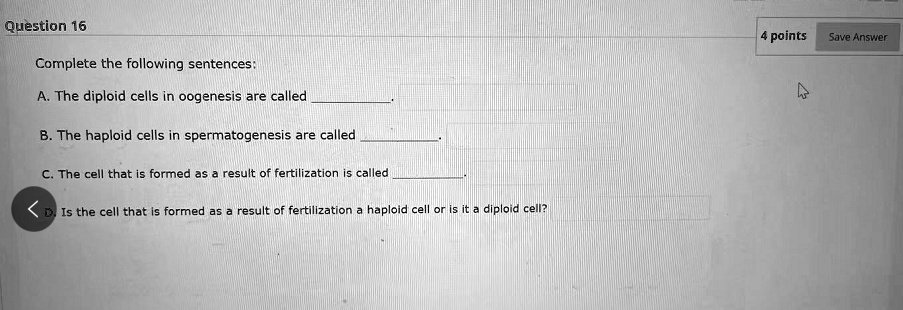 Complete the following sentences:

A. The diploid cells in oogenesis are called .

B. The haploid cells in spermatogenesis are called .

C. The cell that is formed as a result of fertilization is called .

D. Is the cell that is formed as a result of fertilization a haploid cell or is it a diploid cell?