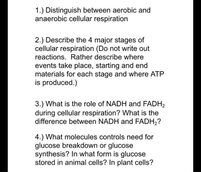 SOLVED: 1.) Distinguish between aerobic and anaerobic cellular ...