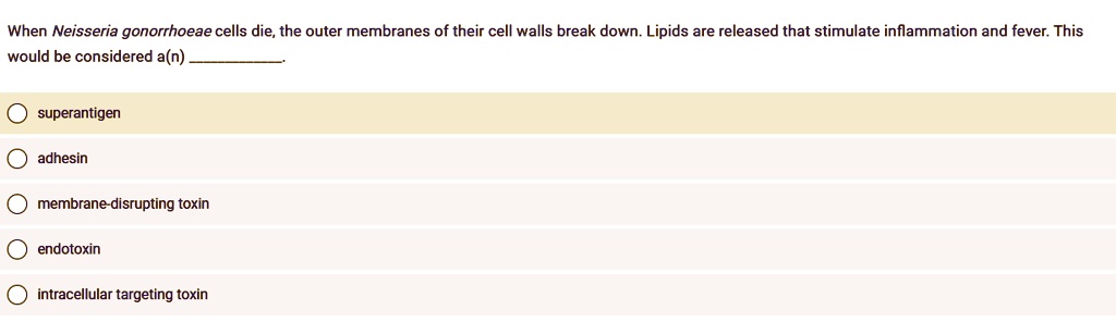 When Neisseria gonorrhoeae cells die, the outer membranes of their cell walls break down. Lipids are released that stimulate inflammation and fever. This would be considered a(n) .

superantigen
adhesin
membrane-disrupting toxin
endotoxin
intracellular targeting toxin