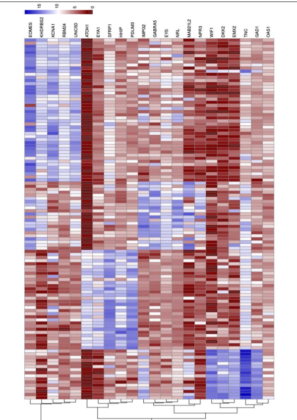 SOLVED: The following heat map illustrates the presence of some 