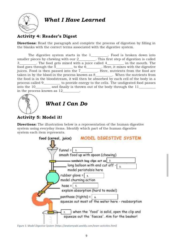 what i have learned activity 4 readers digest directions read the ...