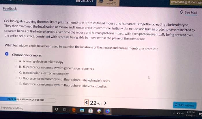 jjioa quiu7u eiiah1osudenle feedback see hint cell biologists studying ...