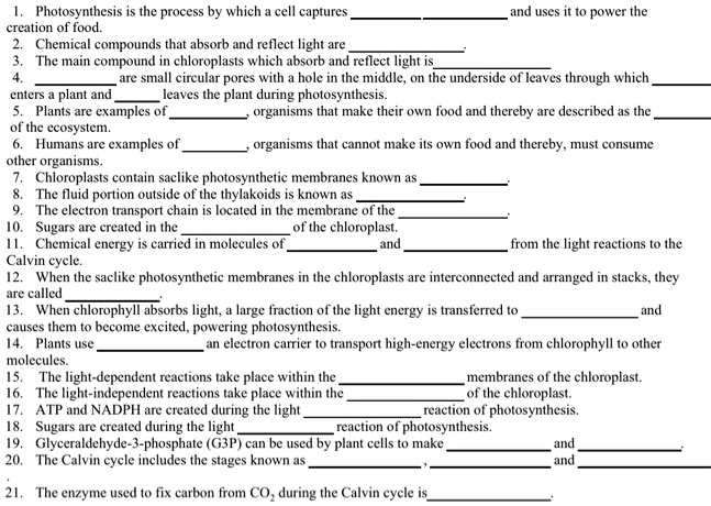 SOLVED: Photosynthesis is the process by which cells capture photons to