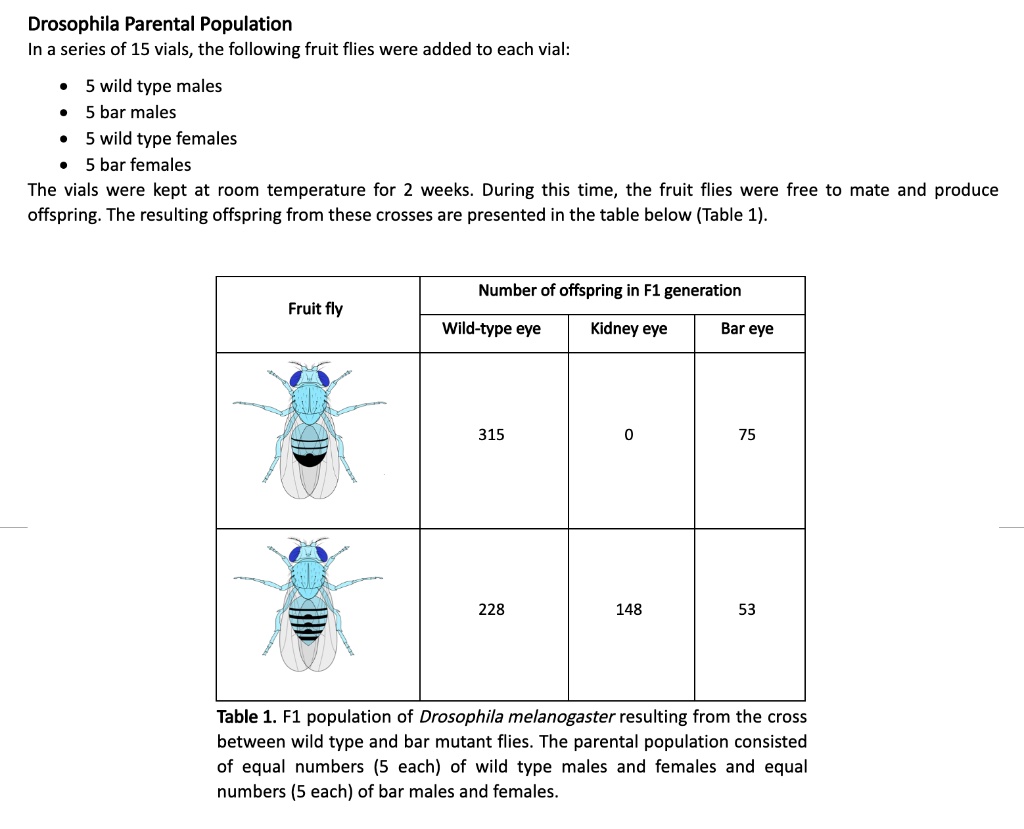 SOLVED:Drosophila Parental Population In A Series Of 15 Vials, The ...