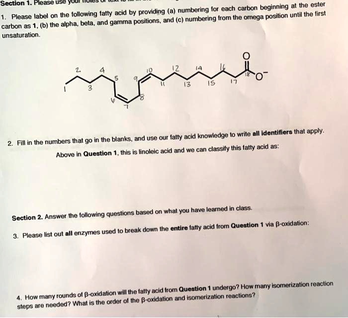 SOLVED: Section Please USe YUuI al the ester the following tatly acid ...