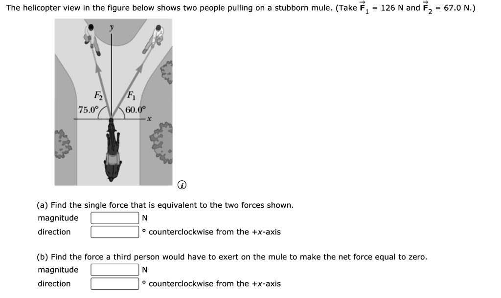 The helicopter view in the figure below shows two people pulling on a stubborn mule. (Take F1 = 126 N and F2 = 67.0 N.)
y
F2 F1
75.0° 60.0°
x
(a) Find the single force that is equivalent to the two forces shown.
magnitude N
direction ° counterclockwise from the +x-axis
(b) Find the force a third person would have to exert on the mule to make the net force equal to zero.
magnitude N
direction ° counterclockwise from the +x-axis