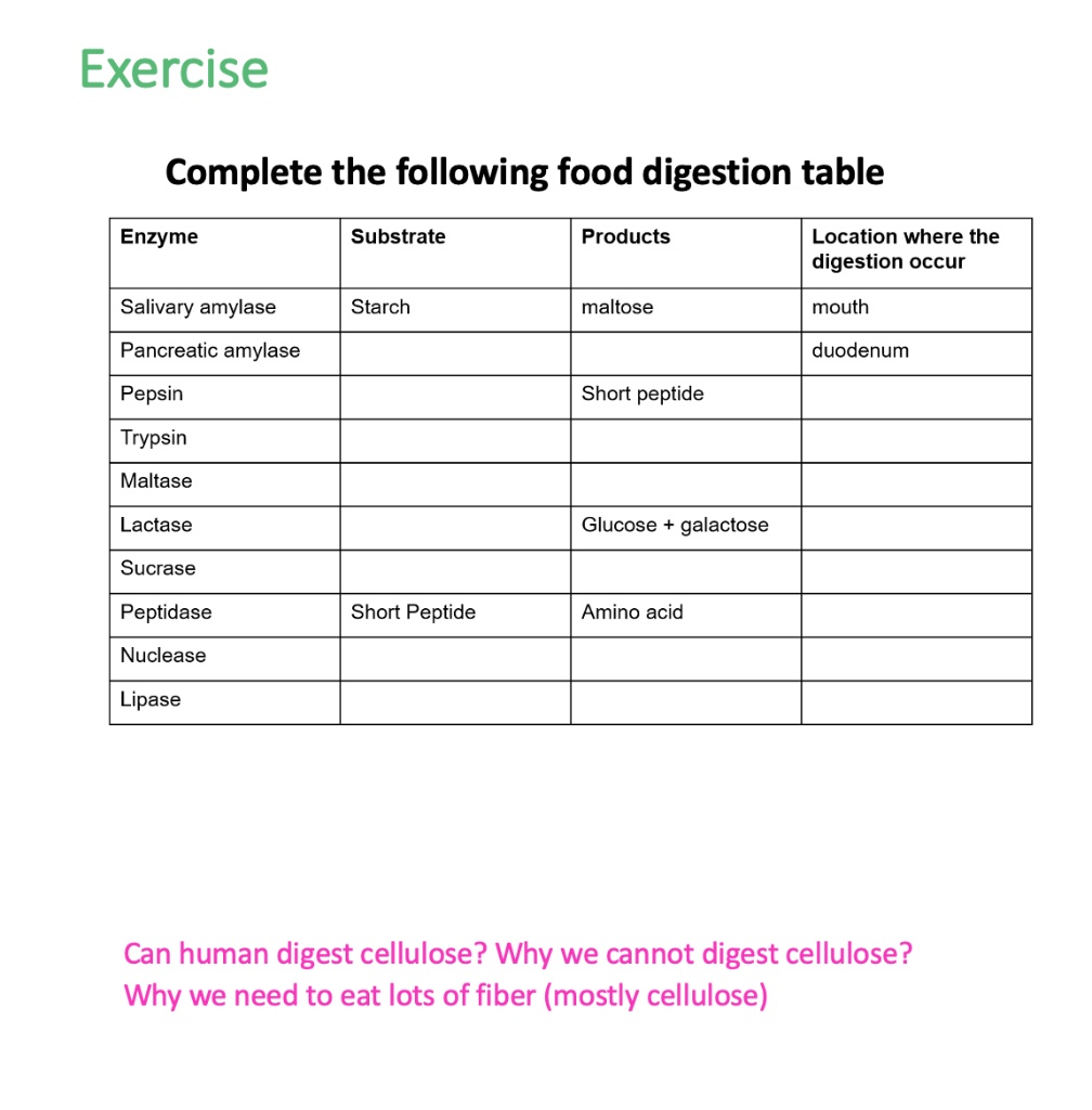 SOLVED Exercise Complete the following food digestion table Enzyme