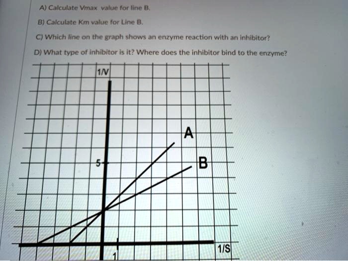 A) Calculate Vmax Value For Line B. B) Calculate Km Value For Line B. C ...