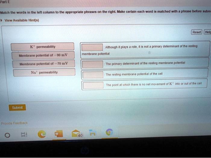SOLVED Part E Match the words in the left column to the appropriate