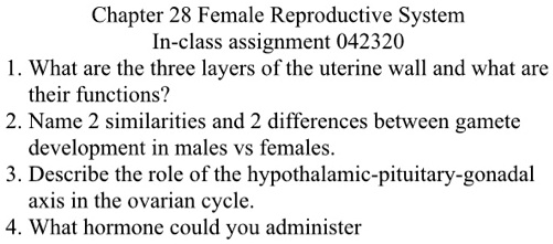 SOLVED: Chapter 28: Female Reproductive System In-class Assignment ...