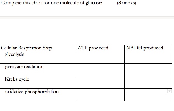 Complete this chart for one molecule of glucose:
Cellular Respiration Step
ATP produced
NADH produced
glycolysis
pyruvate oxidation
Krebs cycle
oxidative phosphorylation