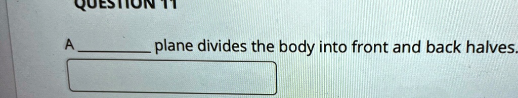 A.  plane divides the body into front and back halves.
