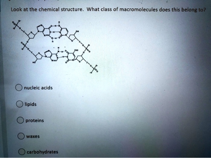 SOLVED Look at the chemical structure What class of macromolecules