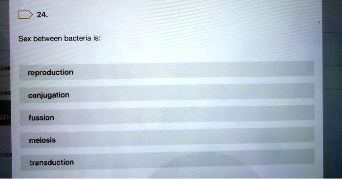 Solved Sex Between Bacteria Is Reproduction Conjugation Fusion Meiosis Etrdi Transduction 7223